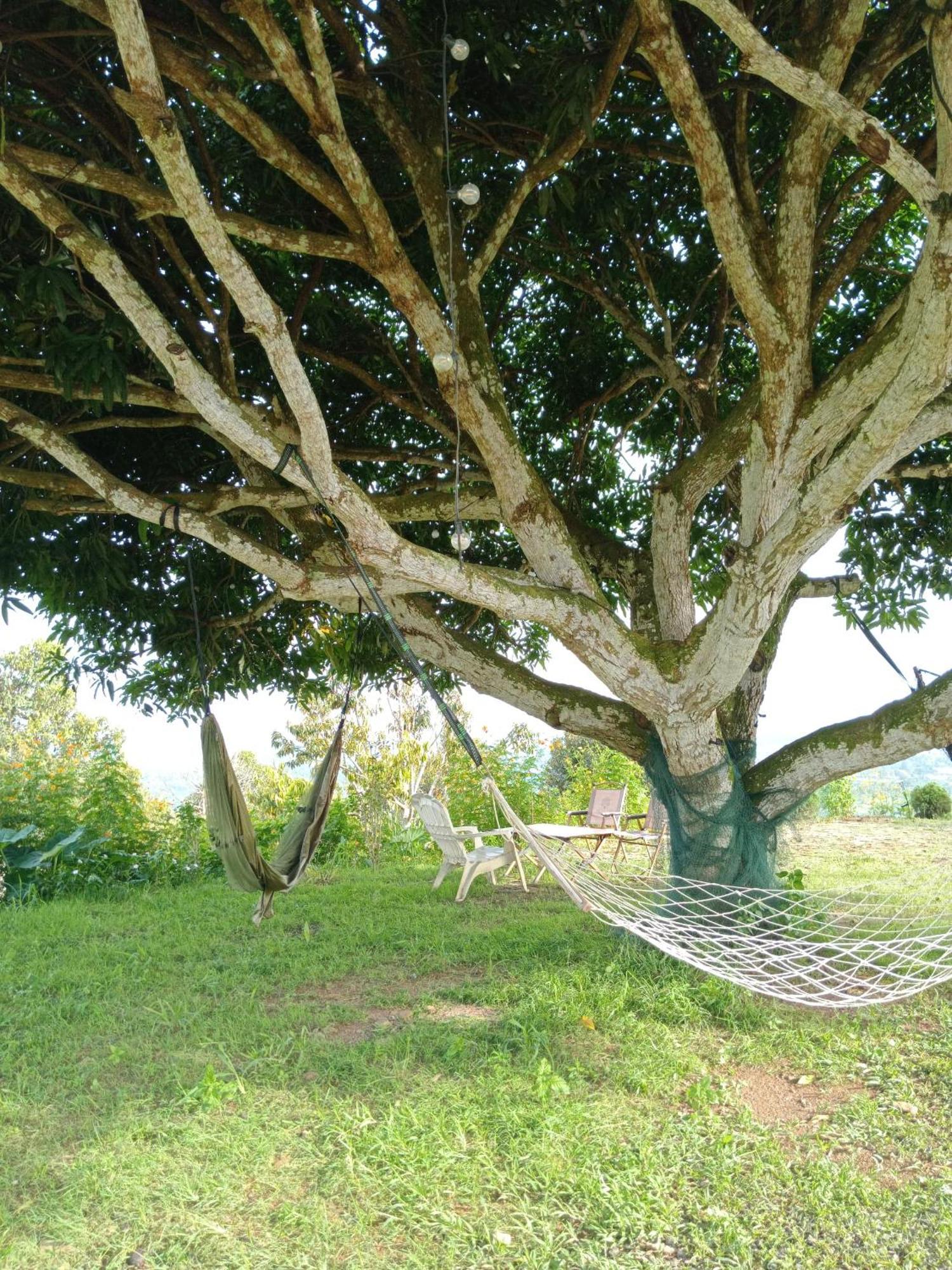 Country Lodge At Eco Valley Retreat Tawau Eksteriør billede